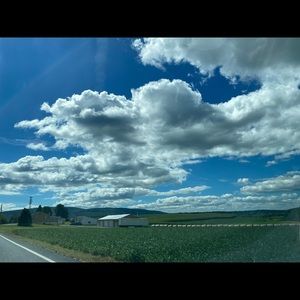 Meet your Posher, Victoria